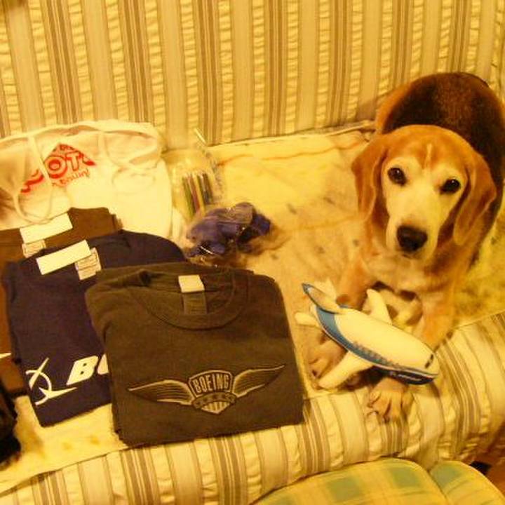 Cde106e8 47b8 4b4e b7a4 cc0354780c87 1667350473585