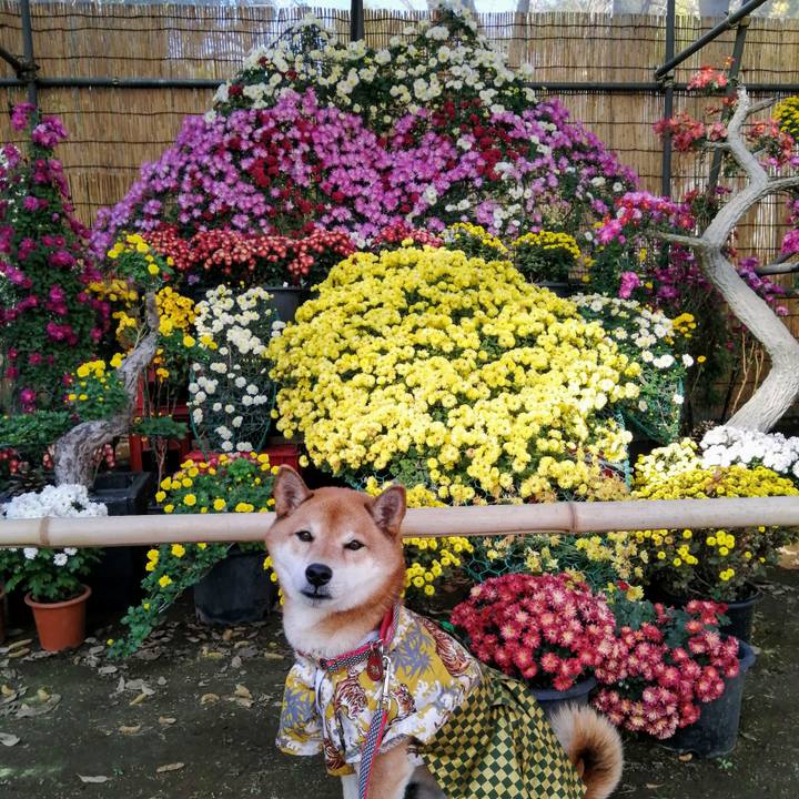 Cde11152 6092 4931 a552 091150d9fba7 1636898626060