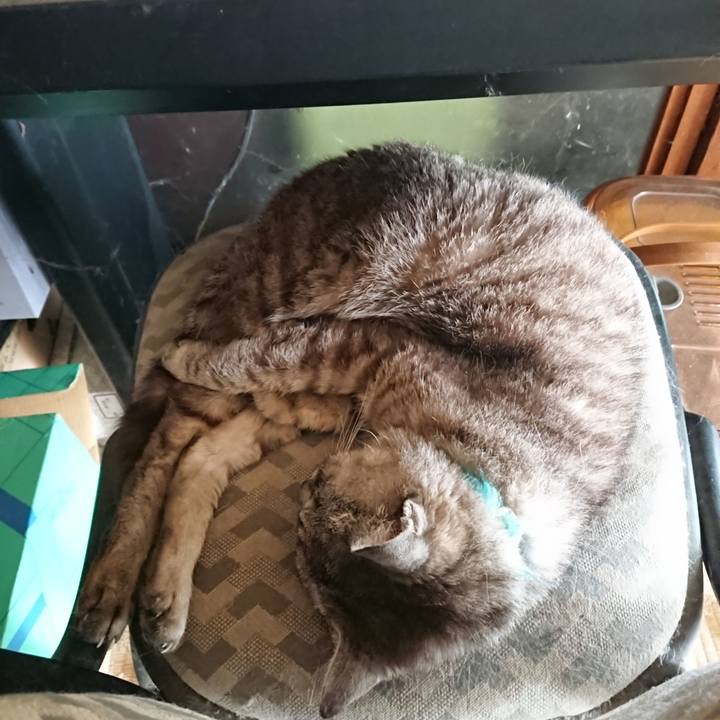 Cde115f1 e7cd 4739 90de 7728ed12fbb9 1567298721349