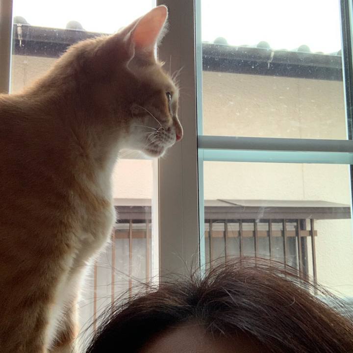 Cde152b0 caf1 4b39 8150 cf85a37e997b 1568408677778