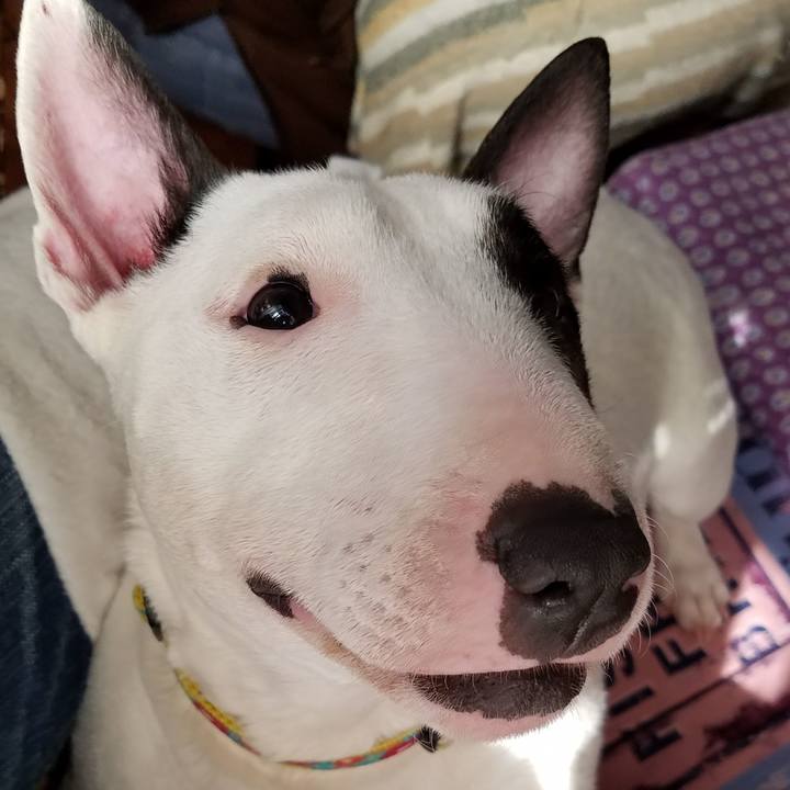 Cde1abe6 ce4b 4161 9695 8945b9a63e21 1529423186577