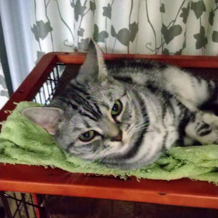 Cde1c6bb dff4 4853 897a a6f20957f96e 1646397003361