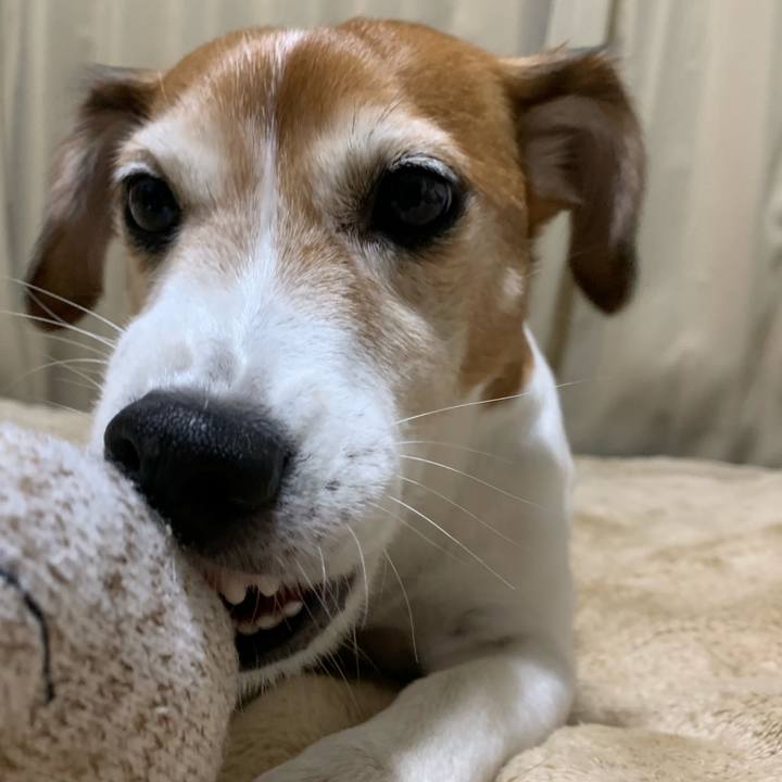 Cde21afe 3553 4619 a7c0 74f29b32249d 1541428392462