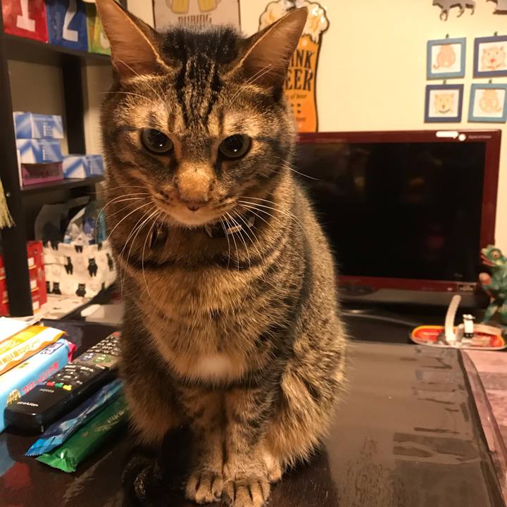 Cde2ad10 616f 4136 8283 0ed6f4990bca 1611841057686