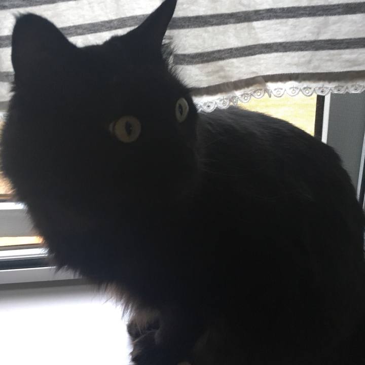 Cde2c154 a510 4761 b169 f37d33a61955 1532226000466