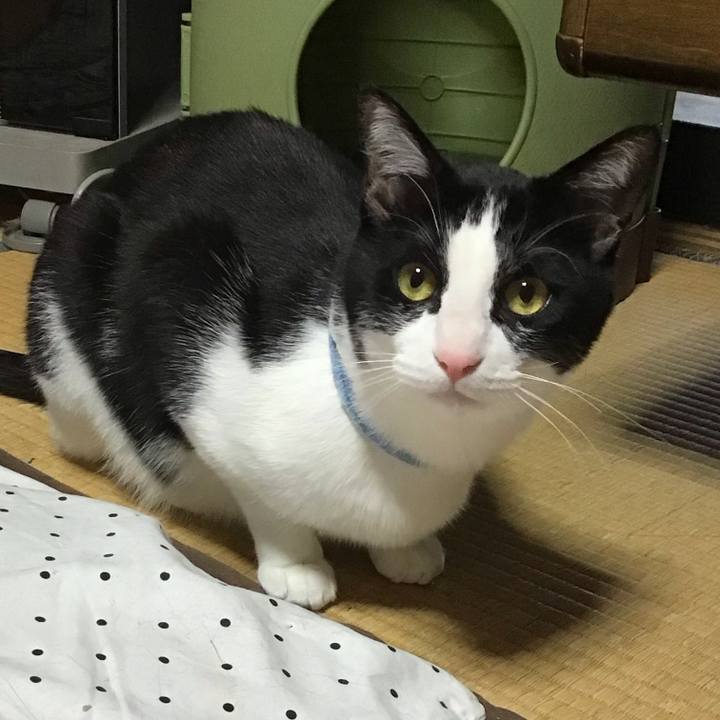 Cde2d147 e33a 4b1f a907 e247cfc0718f 1684060269501