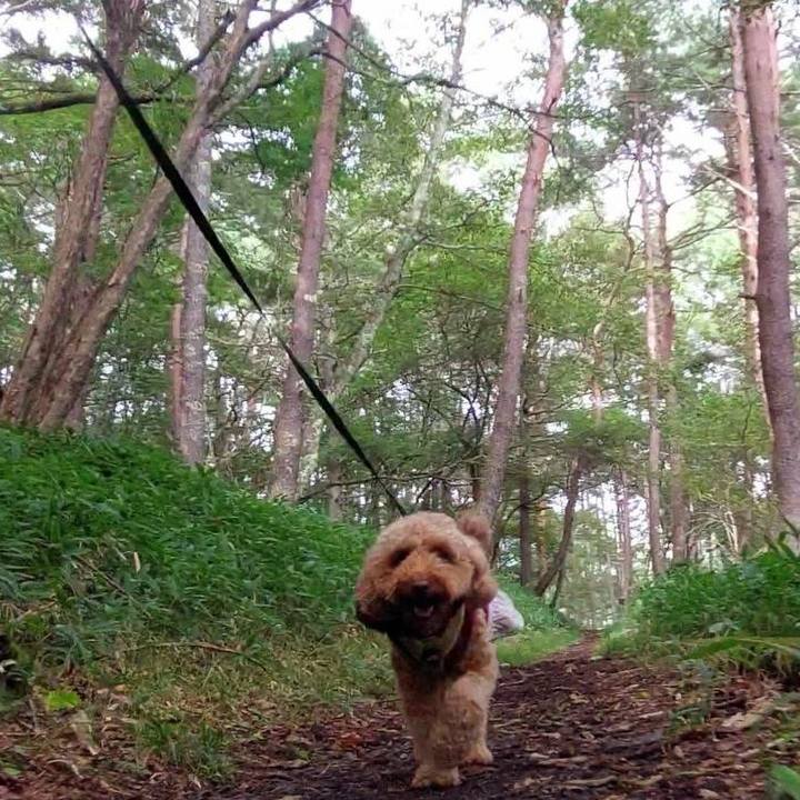 Cde2e0cb b284 422d a7cb c15cbbd1a53b 1727051573736