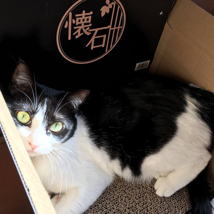 Cde32b7c b822 4725 bd8a 1d4f61e0df9f 1545352372403