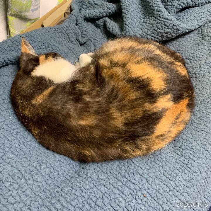 Cde37837 1753 4a37 b937 07a557f55cbd 1579184644664