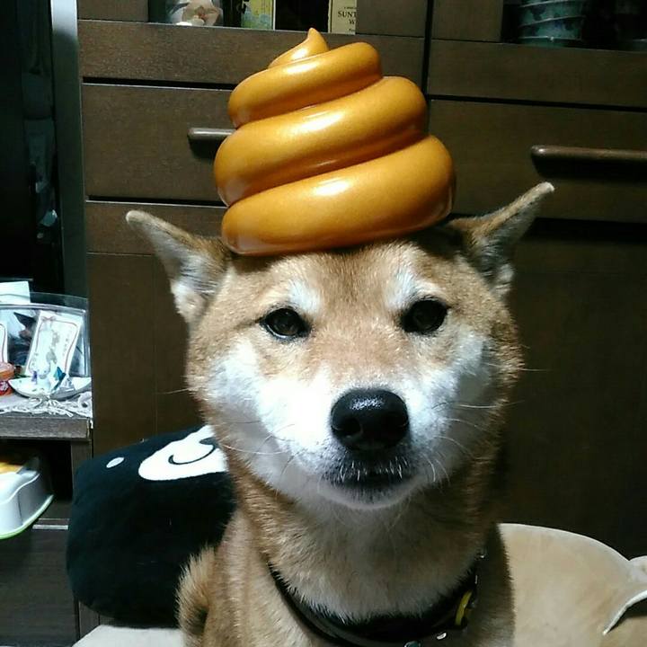 Cde38237 1c28 421c 80f2 b0fd174378b9 1546243108149