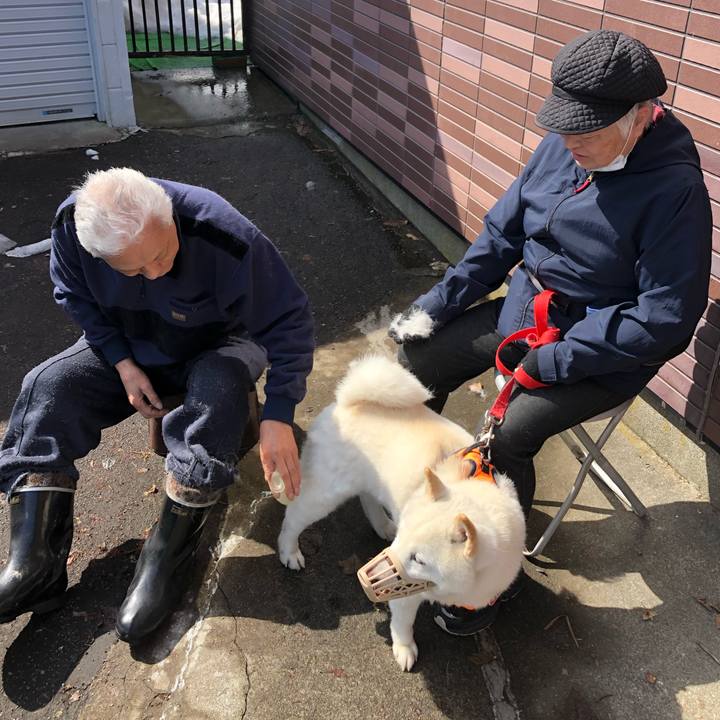 Cde38979 2725 42dd b506 d4a9560cb5b5 1616809737944