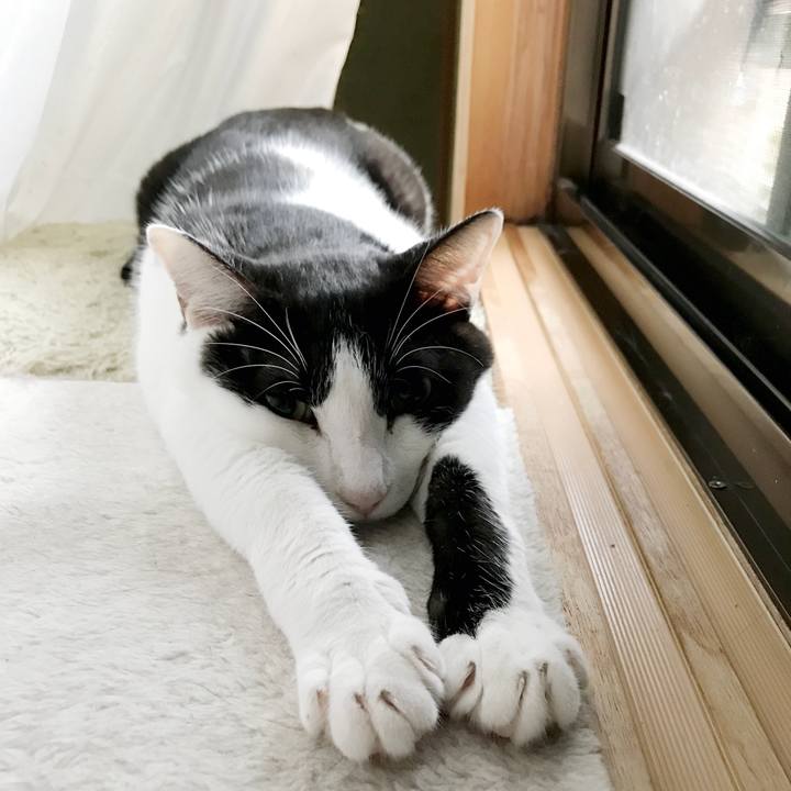 Cde39c32 a8d7 4401 a8c4 f2b3a501271b 1536937092710