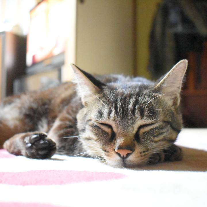 Cde39e8c e43e 474d 9676 d73df95b2375 1527683506903