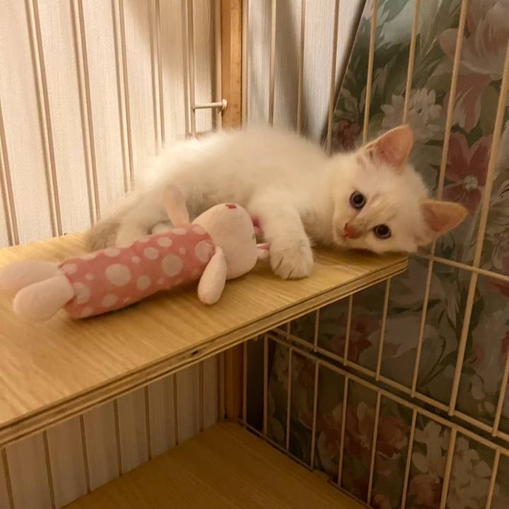 Cde3d44d 0f3c 4994 91a1 b53dad5d0f62 1752034618338