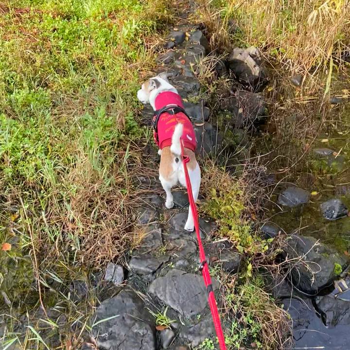 Cde3de16 ca1c 4f4c 8eb5 dde38b0e934d 1604797680162