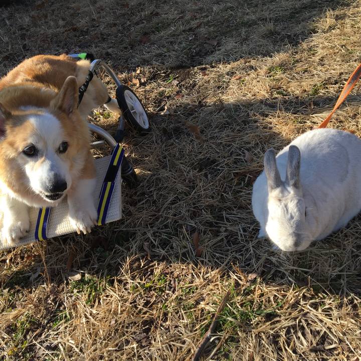 Cde3ea4f f0a8 47db b283 68e740babec0 1580347103069