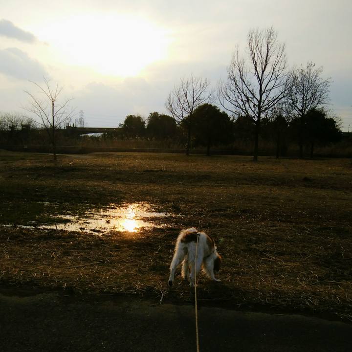 Cde3f8c1 2737 4319 a351 dcba60a7c815 1551948710514