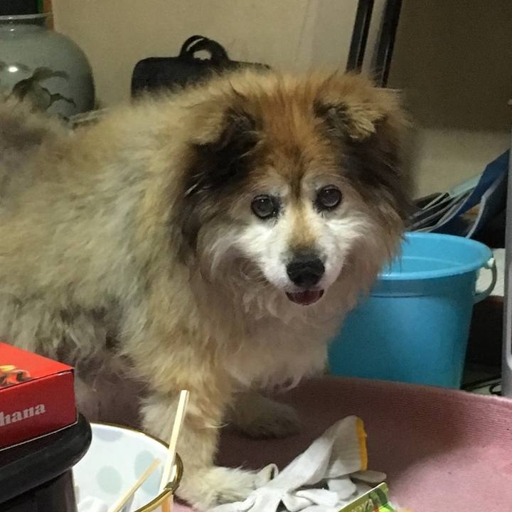 Cde45eb0 d3d1 492a 9002 99787dfbcb87 1576929814968