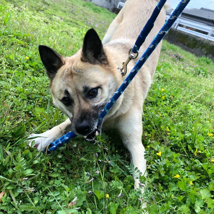 Cde4820b e67f 4185 9a0b 2301c4bfa168 1585659503730