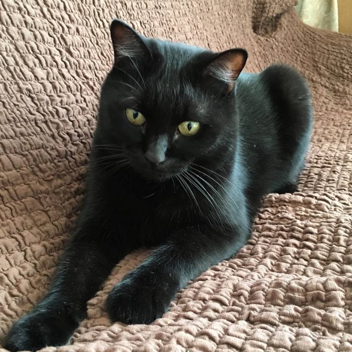 Cde49ada e05f 4adb 8816 ed8a95d2760c 1512281383352