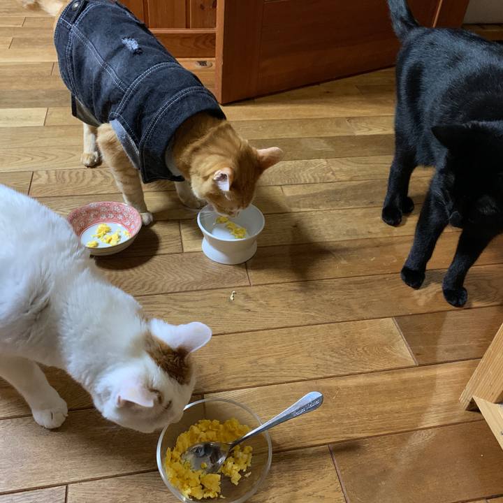 Cde49e87 d8f4 4a0b a0b1 ba2a5cf8fdb9 1646835823801