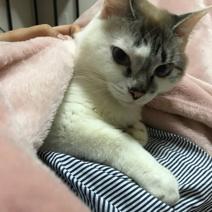 Cde4c3e5 1230 43e6 be8e d0096f020822 1523708734503