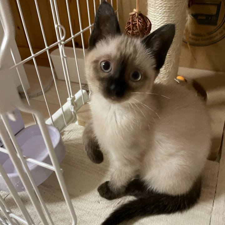 Cde4cb96 d9b8 4943 b4fa 6c03d9f973b8 1689191960314