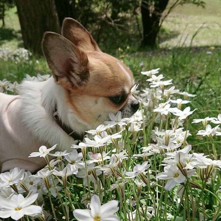 Cde51eaa 5fdd 4bd8 831e 676f0daf5aa6 1617693752162