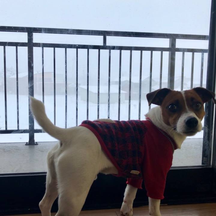 Cde52b45 2959 4027 b1e0 d7e4ee674d9b 1585015327519