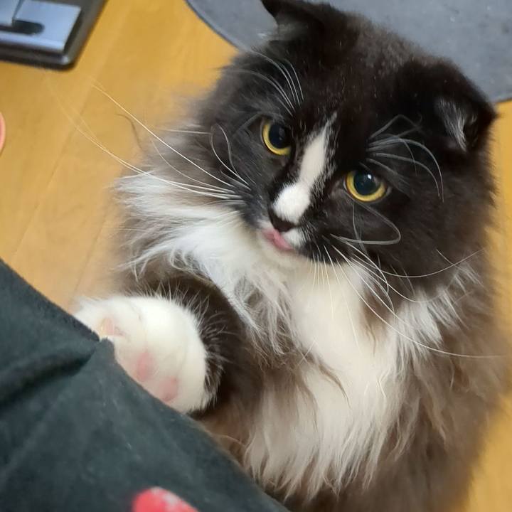 Cde586ae 32b4 49a7 ba56 60509b26da02 1667821757670