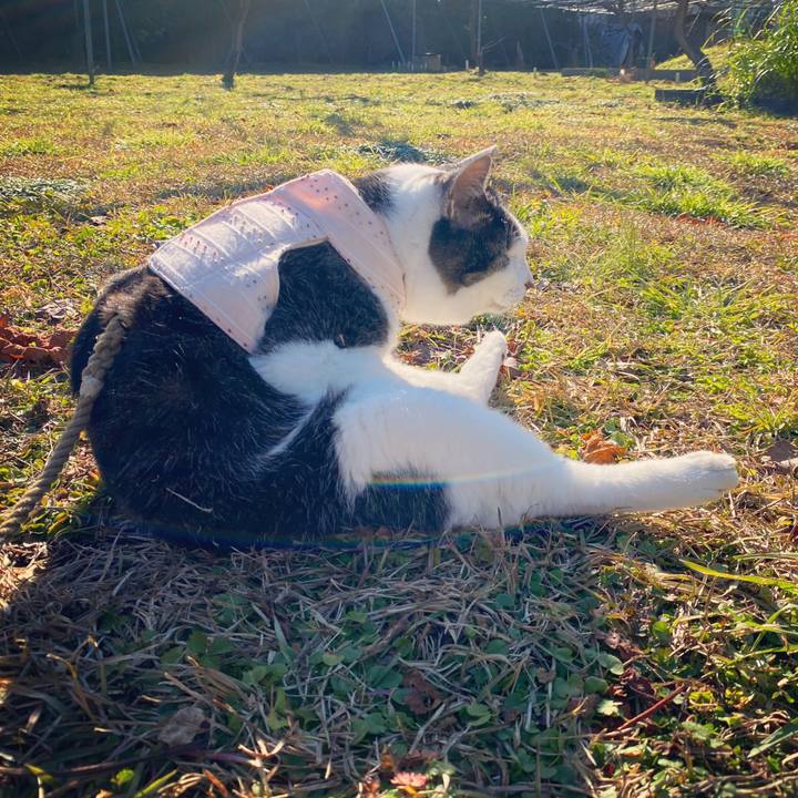 Cde59c85 c2eb 45aa af54 d960d3aecaef 1638589592905