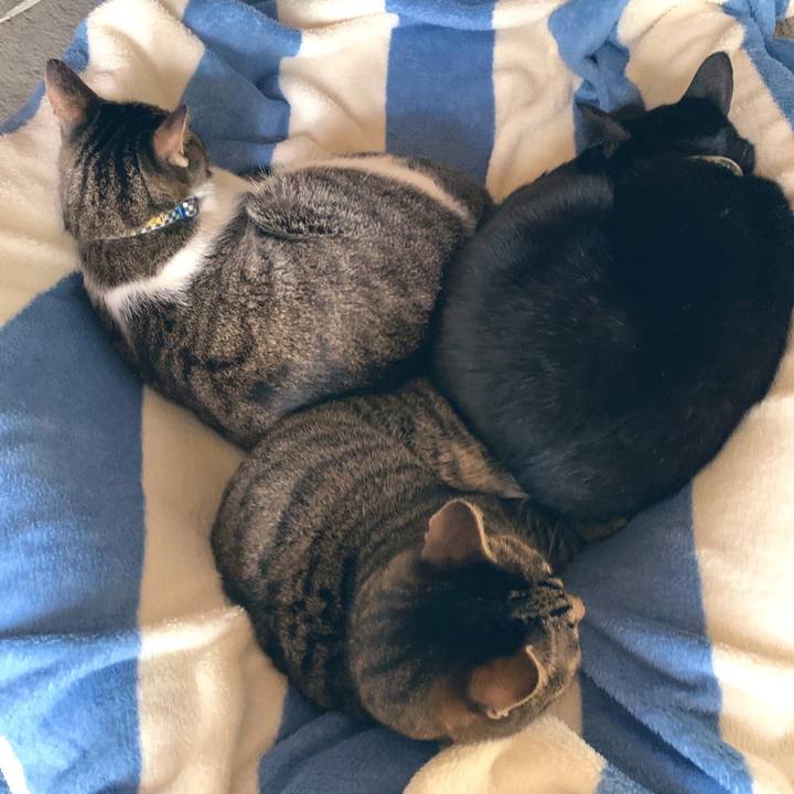 Cde5e2a8 4994 400e aeb5 9192a983d197 1575038757714