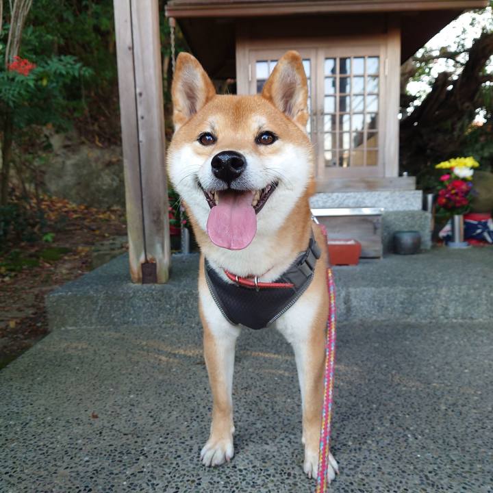 Cde659e9 d666 4c0c 93fb 9b62fede0255 1763986663542