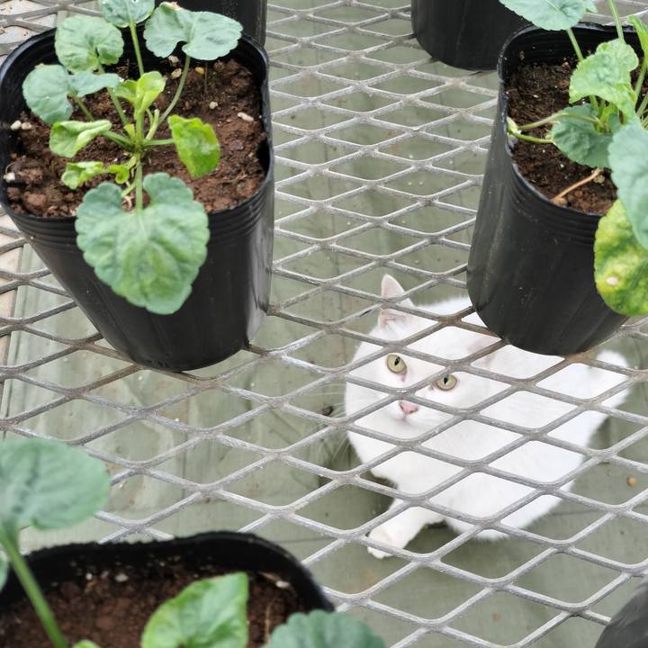 Cde65ca9 07d8 4ad1 a3f8 420b30d7bcc6 1762074640160