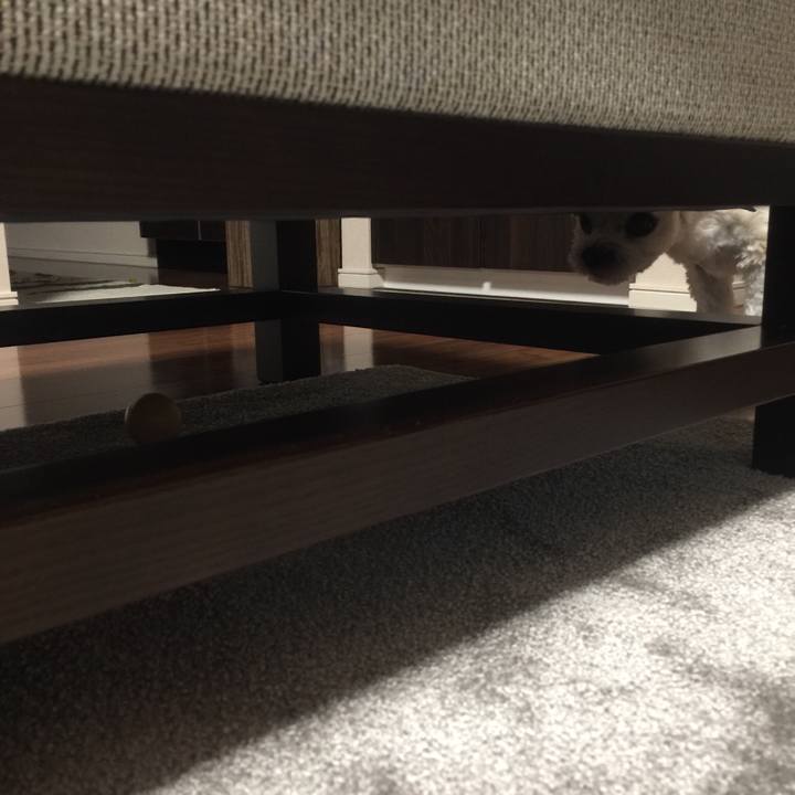 Cde67ab7 0d54 46db 9103 200ae67e1ff0 1528198028576