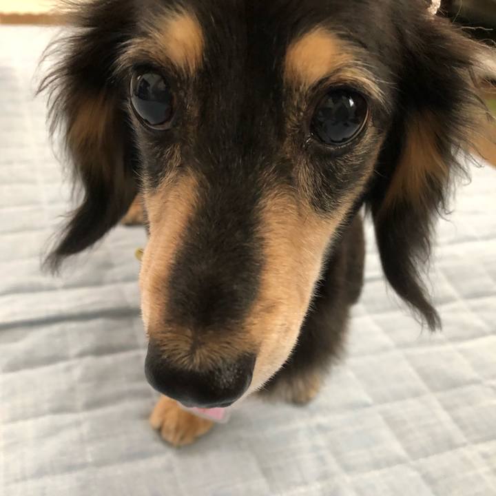 Cde68280 8d65 4c54 b6ca 65197b936830 1595298717241