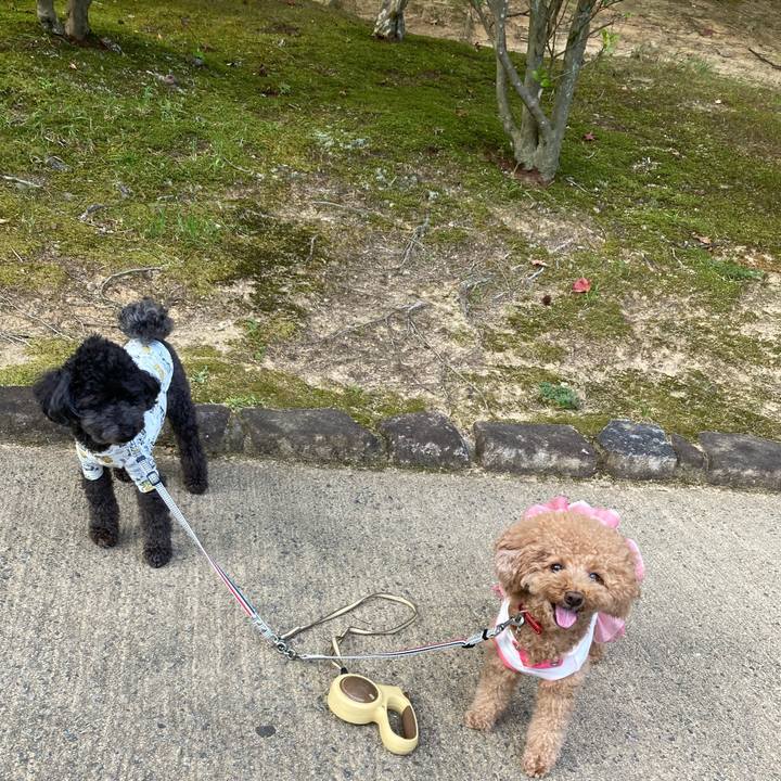 Cde6b11a c9b8 4ac9 a9c5 c0a87177ec95 1632744692055