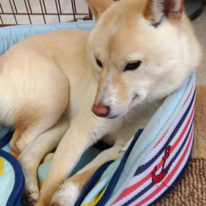 Cde707dc 8f66 4b86 8535 8dc991ad1e99 1523419241305