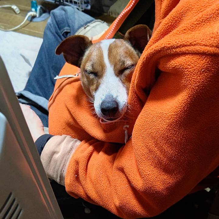 Cde7245d 0549 4781 8c1b 2db6c9d1a4eb 1641129145786