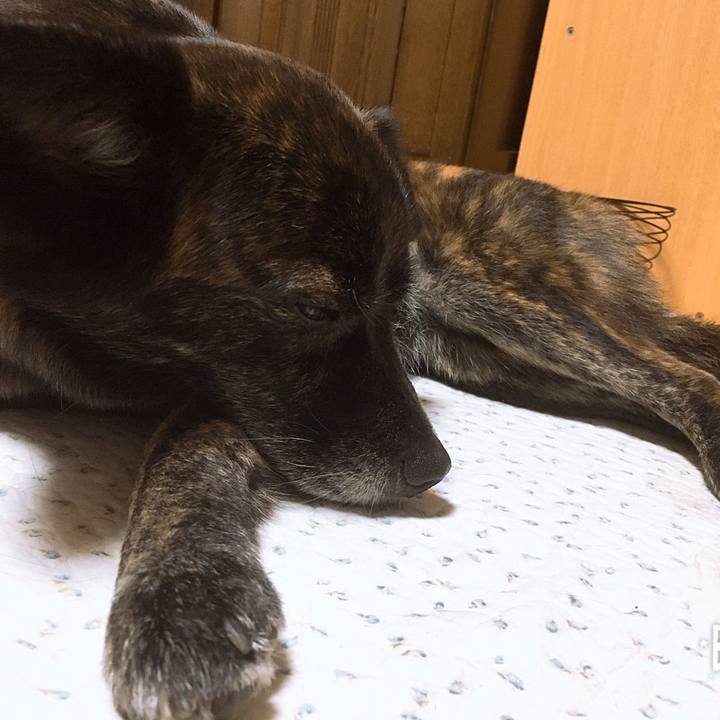 Cde75934 46af 4773 9a38 342cca0566dc 1530583304495