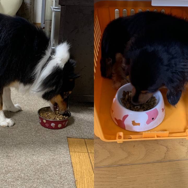 Cde761f1 9efa 4cbf 9109 54b7e4883ca0 1567028884593