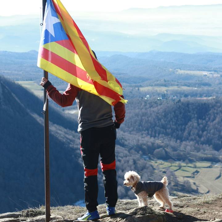 Cde77532 26b6 4d3c a2f3 3d41cee709a0 1548625174274