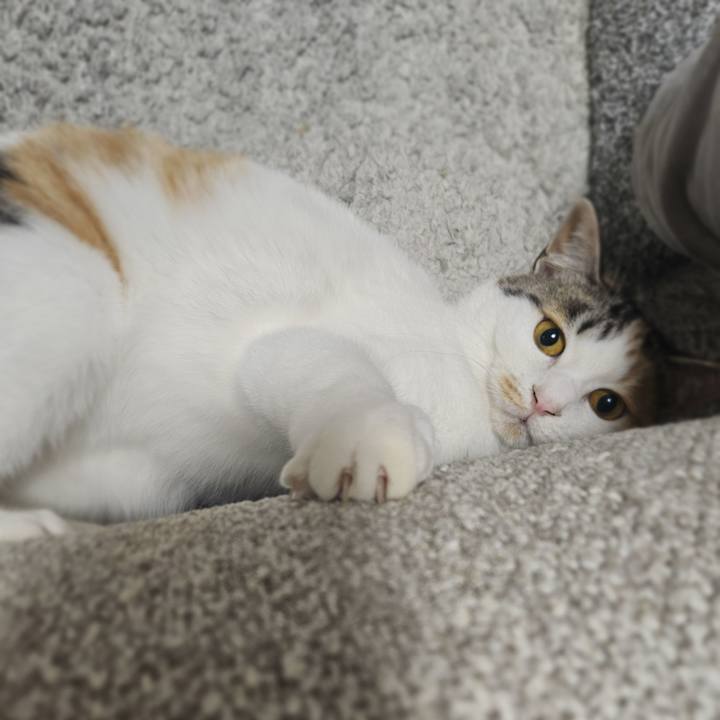 Cde79273 c289 4d29 ac17 b01c88532925 1770124321477