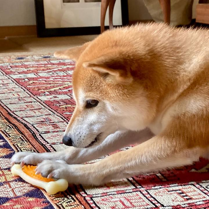 Cde79d0a bd00 4724 849c 85f9deba8e4d 1759378743798