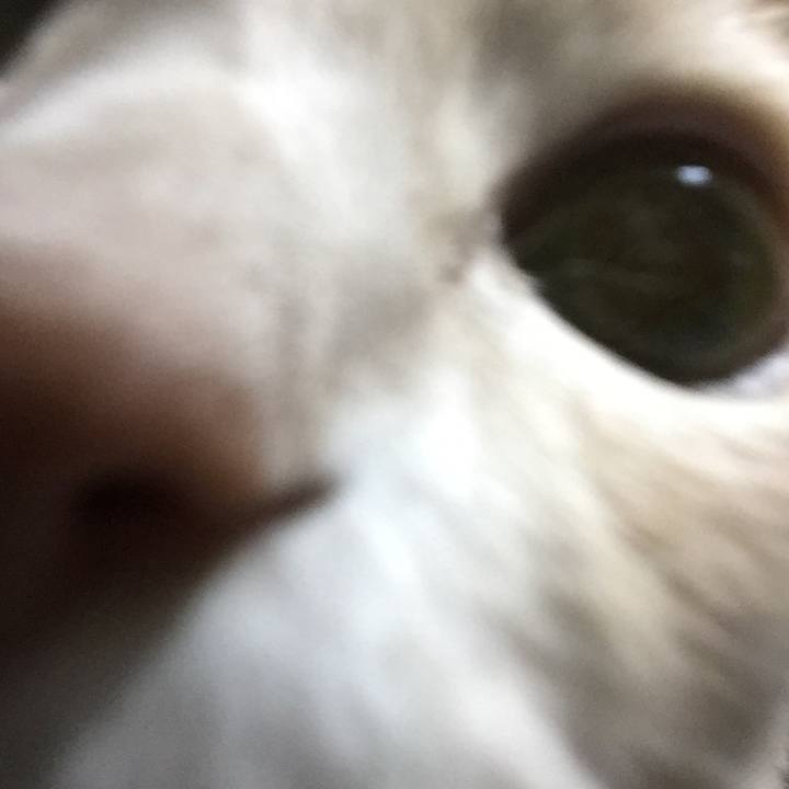 Cde7a5b9 b6f6 4372 b8a0 1413469e7e06 1540387274190