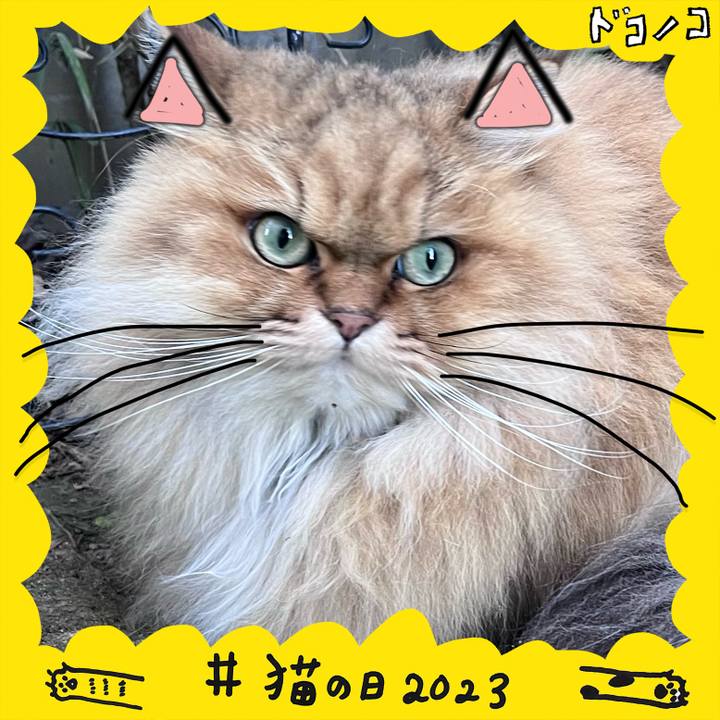 Cde7baaa 1720 4f92 a2d8 1ee1324a1d30 1677063557476