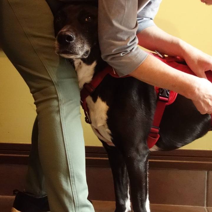 Cde7e3c6 93f7 4cf5 b057 de9d2fc8ce60 1684977996019