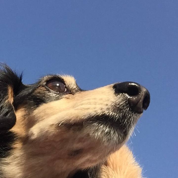 Cde7e4ed 85b8 45e1 8839 b5a31a49f285 1516234746775