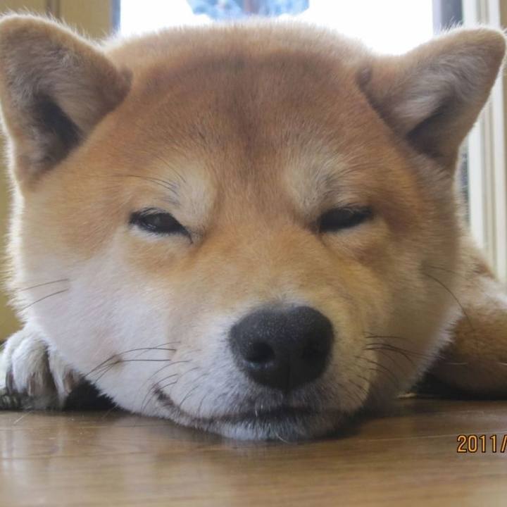 Cde7f1fd ec52 489f 923b 459587548ebf 1750940644228