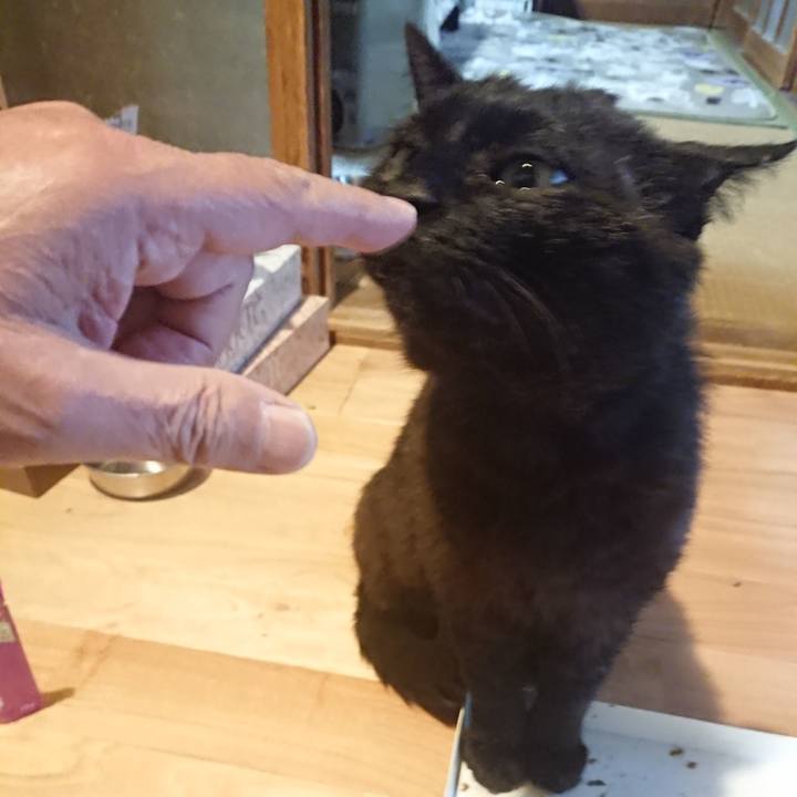 Cde89002 2cce 4944 95a1 7cb4285325b9 1622110119737